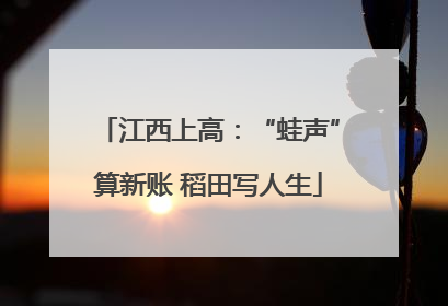 江西上高：“蛙声”算新账 稻田写人生